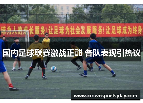 国内足球联赛激战正酣 各队表现引热议